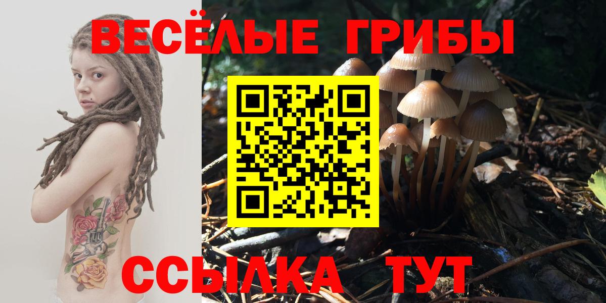 Галлюциногенные грибы мицелий Красногорск