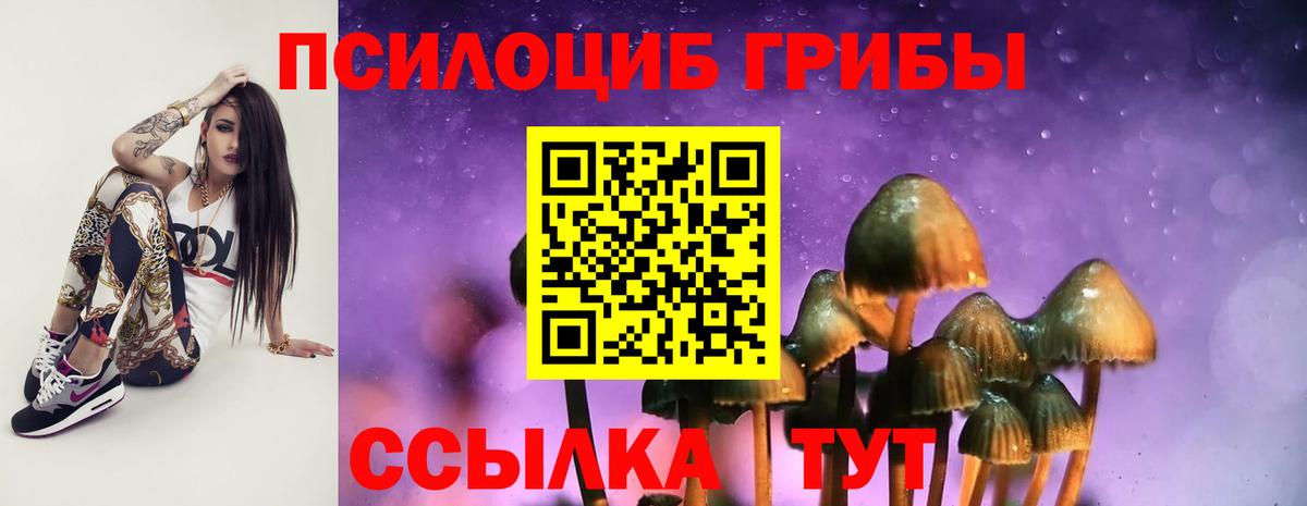 Псилоцибиновые грибы Psilocybe  Псилоцибиновые грибы ЛСД  Вход с VPN  Красногорск 